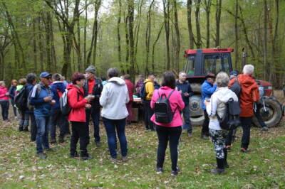 Pester konec tedna v vasi Budinci 2